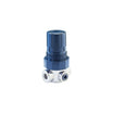 ControlAir Type 870 Series Miniature Potable Water Pressure Regulator, 429-883-030, 870-CDN, 1/8