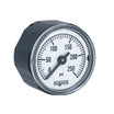 NOSHOK 100 Series Acrylonitrile Butadiene Styrene (ABS) & Steel Case Dry Pressure Gauges, 10-110-250-psi, 1