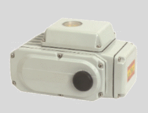 STC E-20 Electric Actuator - 1770 in. Lbs (200Nm), Available in 24VDC, 24VAC, 110VAC, 220VAC