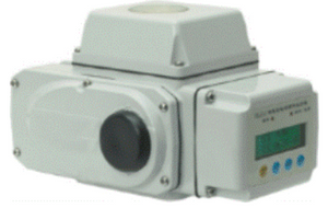 STC E-20PC Electric Actuator - 1770 in Lbs (200Nm), Available in 24VDC, 24VAC, 110VAC, 220VAC
