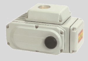 STC E-10R Electric Actuator - 885 in Lbs (100Nm), Available in 24VDC, 24VAC, 110VAC, 220VAC