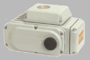 STC E05S-E40S Series Electric Actuator - 442 in. Lbs (50Nm) to 3540 in Lbs (400Nm), Available in 24VDC, 24VAC, 110VAC, 220VAC