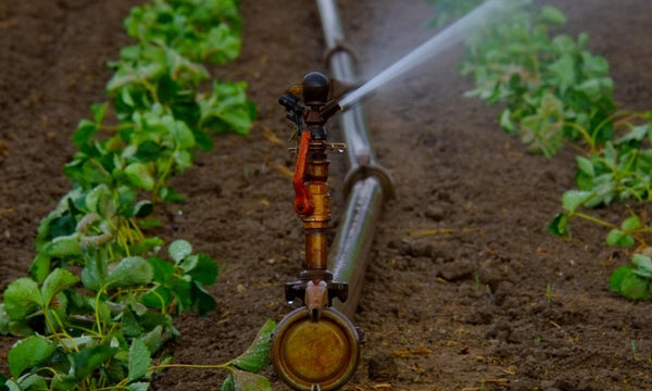 Agricultural Irrigation Maintenance Checklist