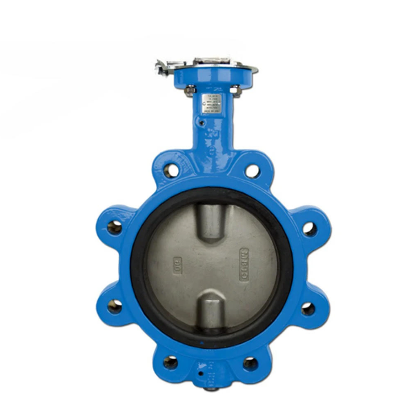Introducing Bonomi Butterfly Valves