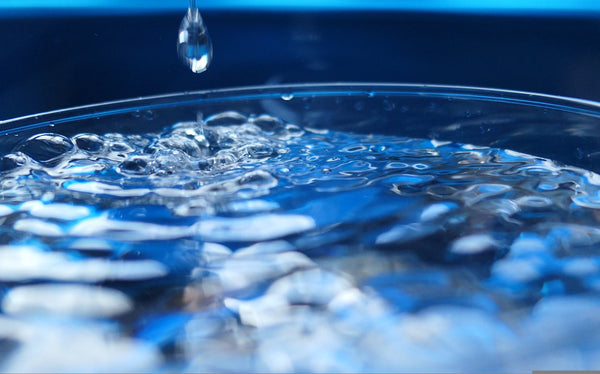 The Best Potable Water Valves