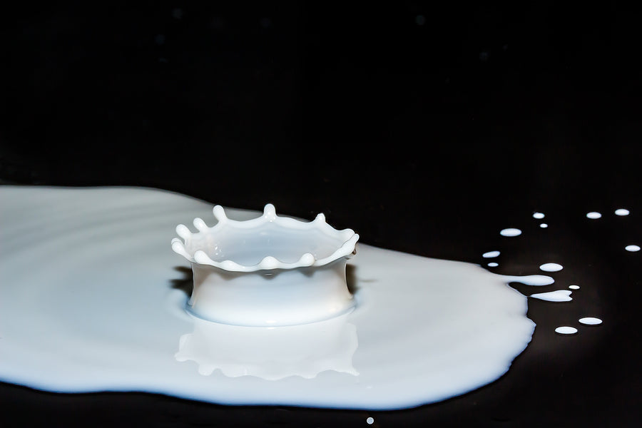 The Best Valves for Milk