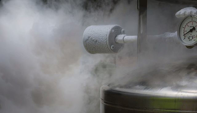 How Do Cryogenic Valves Work?