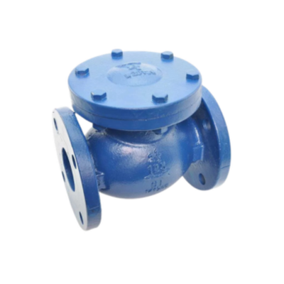 Red White Valve 435 Series - Iron, Flanged, Swing Check Valve
