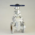 Chicago Valve Series 214, 2-1/2