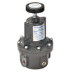 ControlAir Type 7000 Series High Flow Precision Air Pressure Regulator, 429-826-006, 7000-EB, 0 - 10 Psig (0 - 0.7 Bar), 3/4