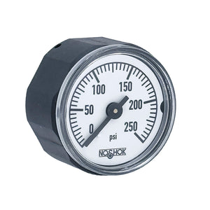 NOSHOK 100 Series Acrylonitrile Butadiene Styrene (ABS) & Steel Case Dry Pressure Gauges, 10-110-250-psi, 1" ABS Case & Soket, Copper Alloy Bourdon Tube, 250 psi, 1/8 NPT Back Connector