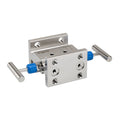 NOSHOK 2020/2120 Series Liquid Level 2 Manifold Valves With Hard Seat & Soft Seat, Hard Seat, Flange x 1/2
