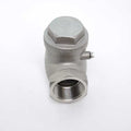 Red White Valve 884 Series - Stainless Steel, NPT, Swing Check Valve