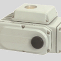STC E-05R Electric Actuator - 442 in. Lbs (50Nm), Available in 24VDC, 220VAC