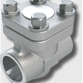 SVF Flow Control 522F Series Check Valve, Forged Stainless Steel Body, Threaded Ends
