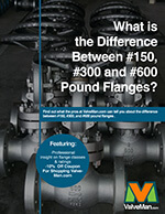 diff-between-150-300-600-pound-flanges-ebook-cover.jpg