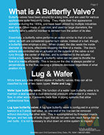 difference-bw-lug-wafer-ebook-p2-valveman.jpg