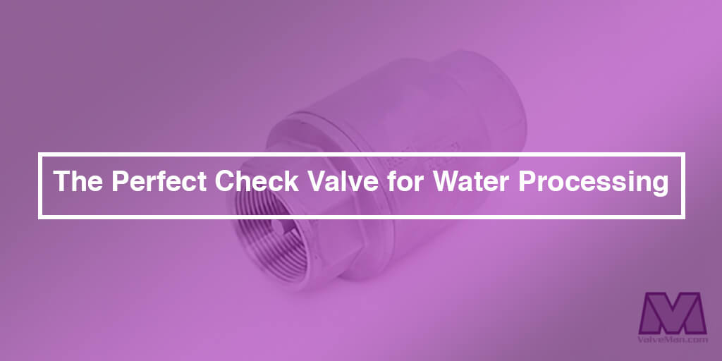 check-valves-water-processing-valveman